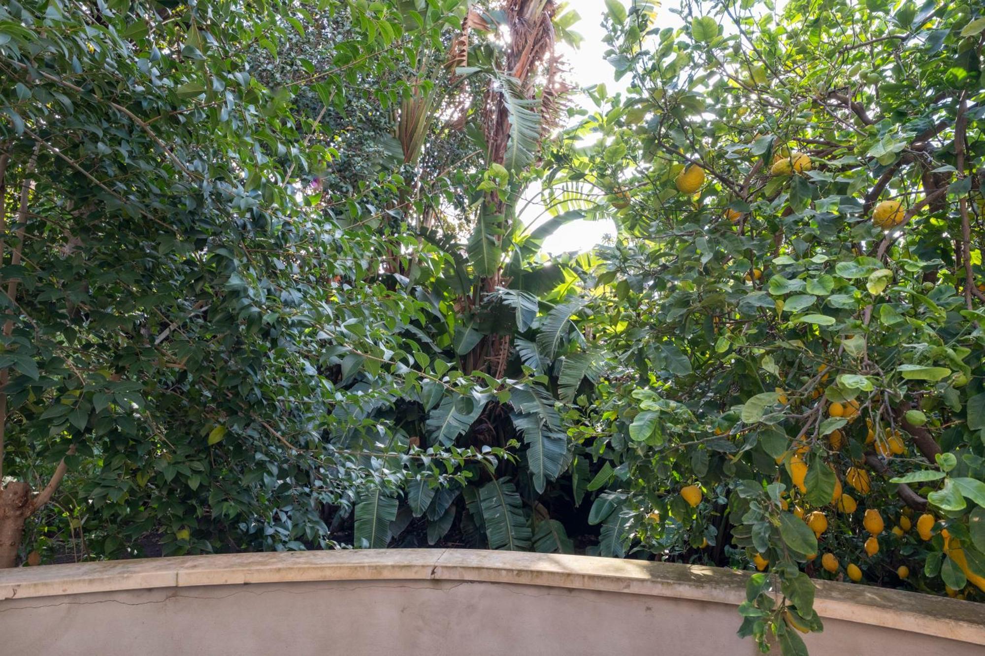 La Corte Dei Nespoli Acireale Extérieur photo